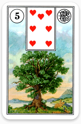 Der Baum