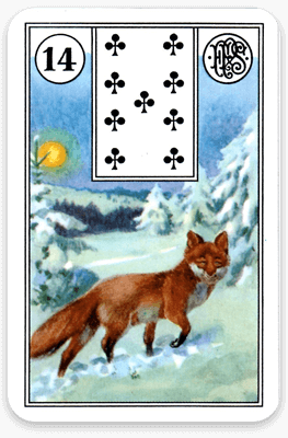 Der Fuchs