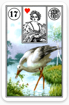 Der Storch