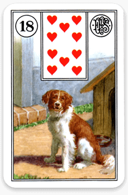 Der Hund