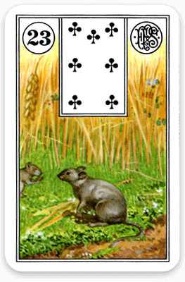 Die Mäuse