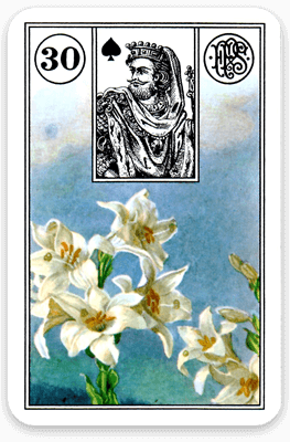 Die Blumen